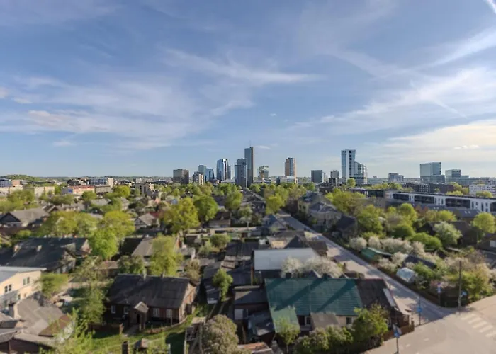 Butas Skyline 1 Bd By Domvia Vilnius