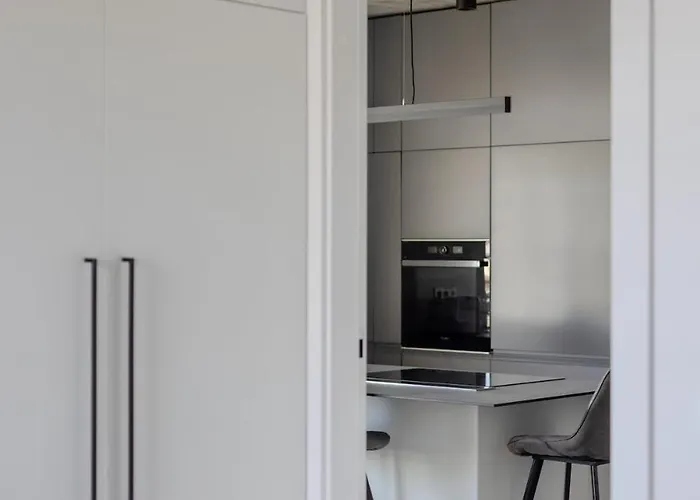 Butas Skyline 1 Bd By Domvia Vilnius